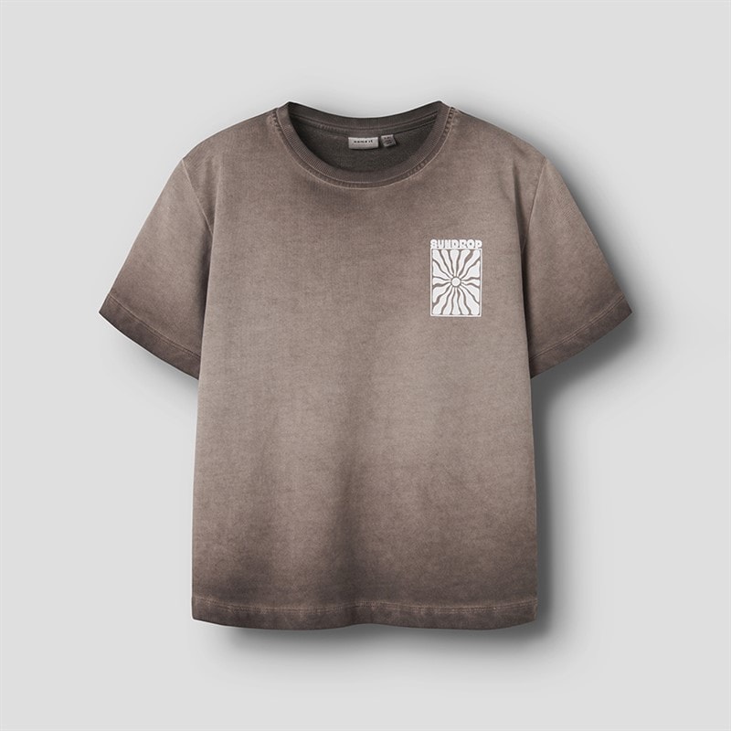 Name It Boys Hopin T-Shirt Chestnut