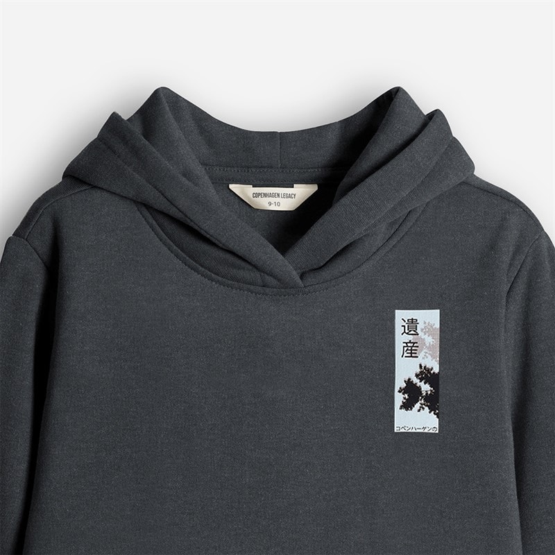 Copenhagen Legacy Kids Hoodie Charcoal - Image 3