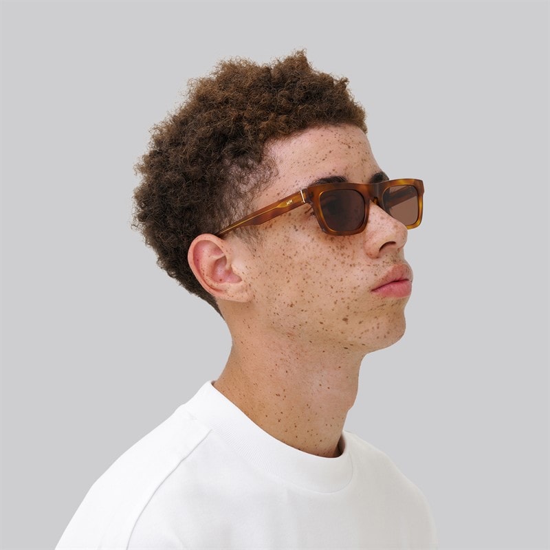 MessyWeekend New Dylan Sunglasses Havana - Image 5