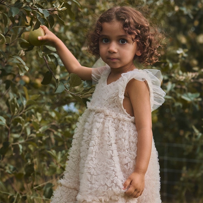 Lil' Atelier Girls Fauna Tulle Dress Pumice Stone - Image 4