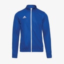 adidas Junior Entrada 22 Poly Training Jacket Team Royal Blue