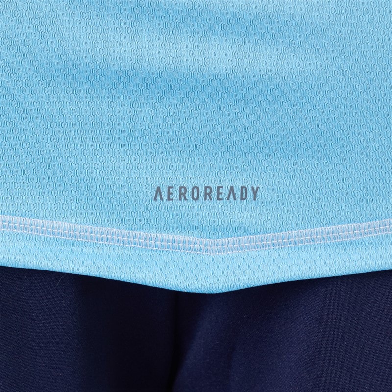 adidas Mens Tiro 24 Pro Goalkeeper Jersey Blue - Image 5