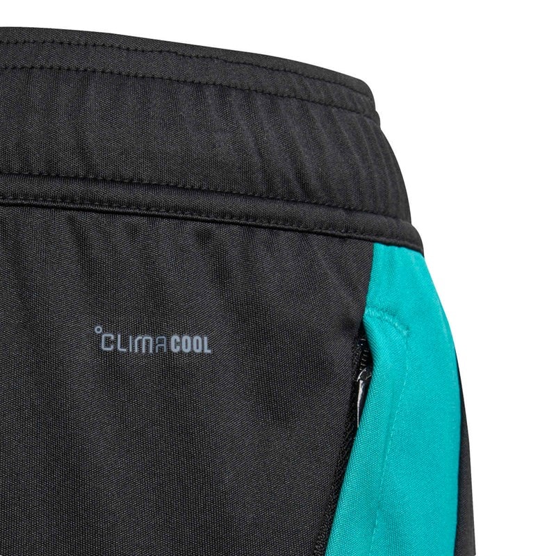 adidas Junior NZR New Zealand All Blacks Gym Shorts All Black/Pure Teal - Image 4