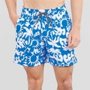 Hurley Mens Sunny Seaside Volley Swim Shorts Blue