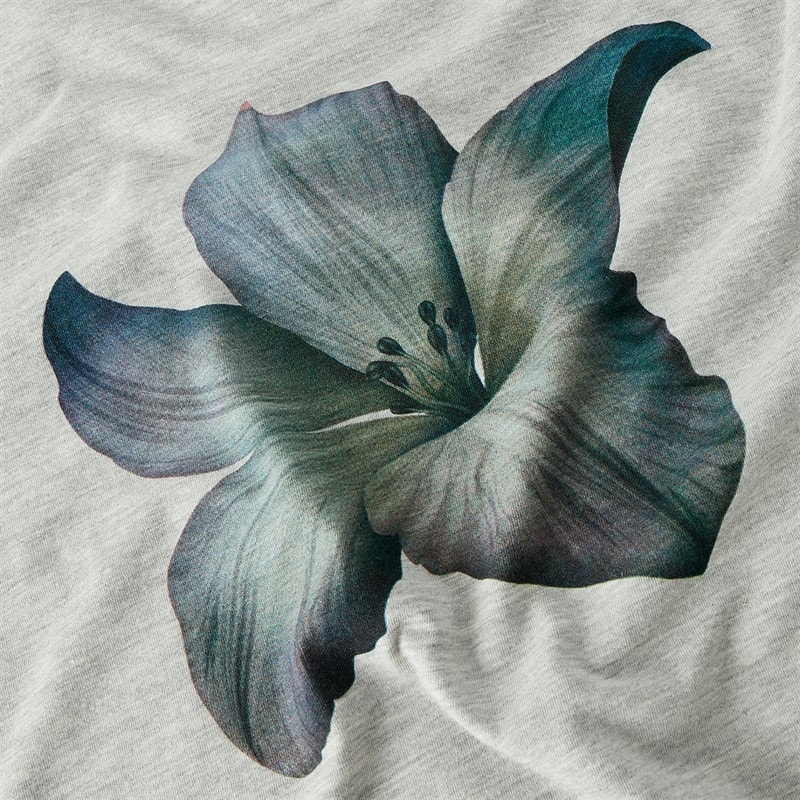 LMTD Girls Hibi Short Sleeve T-Shirt Light Grey Melange - Image 3