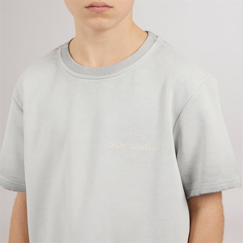 ONLY & SONS Boys Tilmo Life T-Shirt Ultimate Grey - Image 3