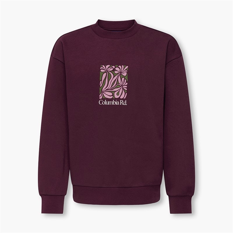 ONLY & SONS Boys Beaufort Sweatshirt Fig