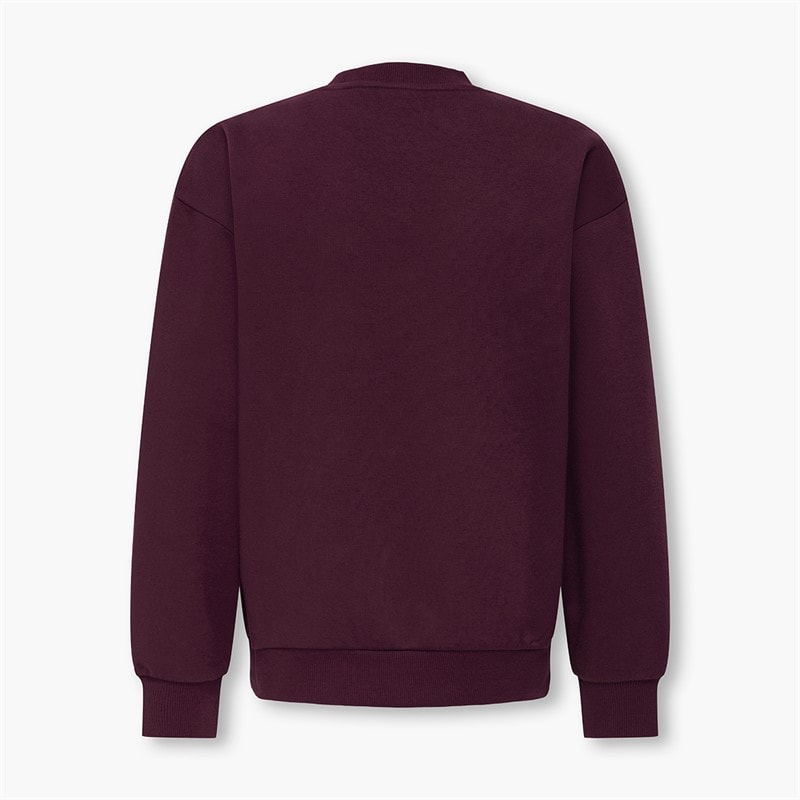 ONLY & SONS Boys Beaufort Sweatshirt Fig - Image 2
