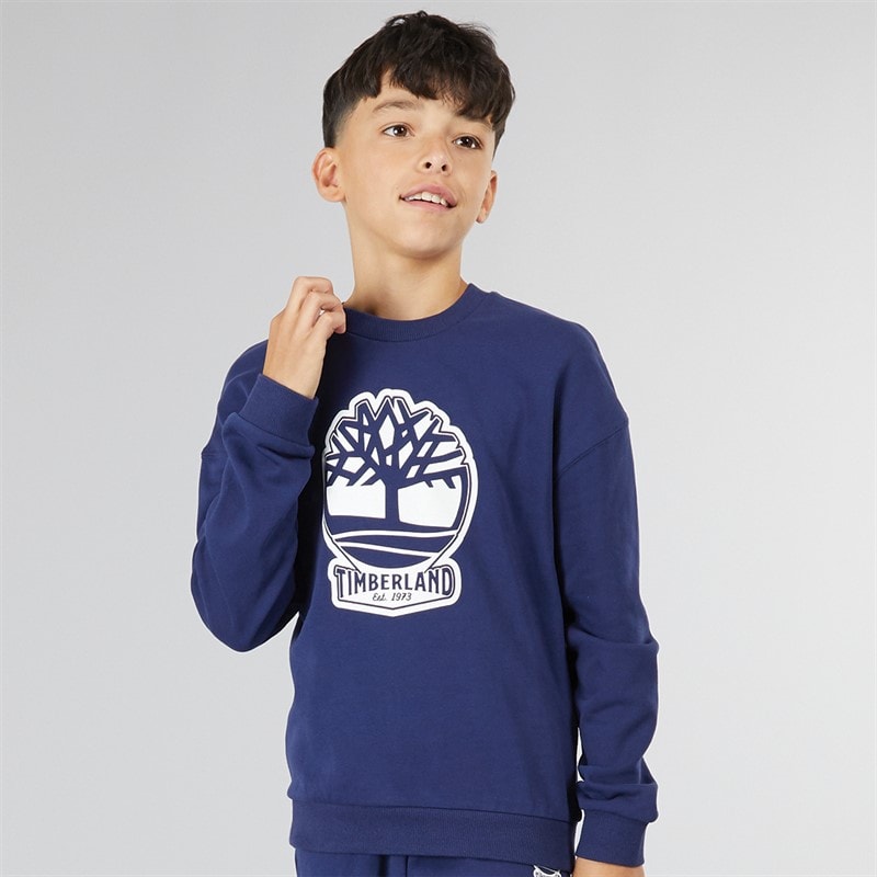 Timberland Boys Sweatshirt Medieval Blue - Image 1