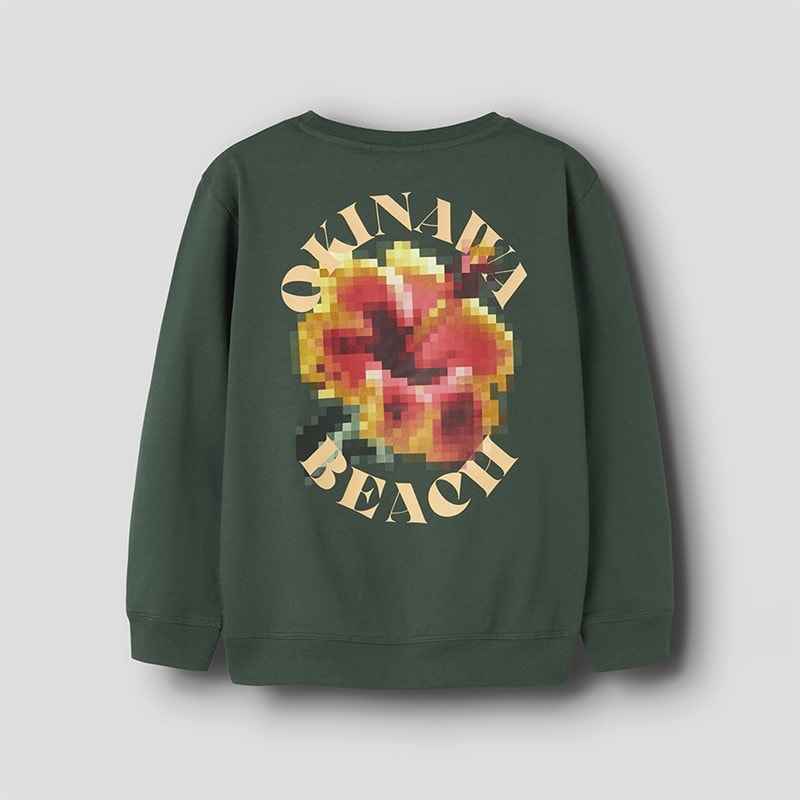 Name It Boys Juan Sweatshirt Garden Topiary