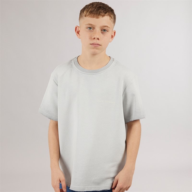 ONLY & SONS Boys Tilmo Life T-Shirt Ultimate Grey